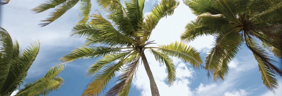 All Inclusive Beach Resorts